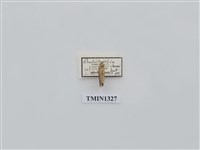 藏品(尺蠖蛾科)的圖片